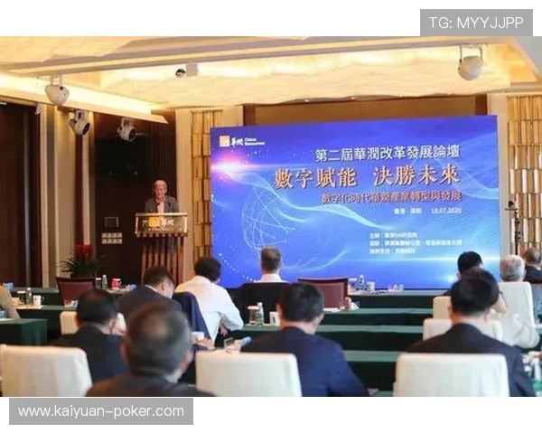 以高琳为核心探讨数字化时代下青年文化的崛起与挑战 以高琳为核心探讨数字化时代下青年文化的崛起与挑战